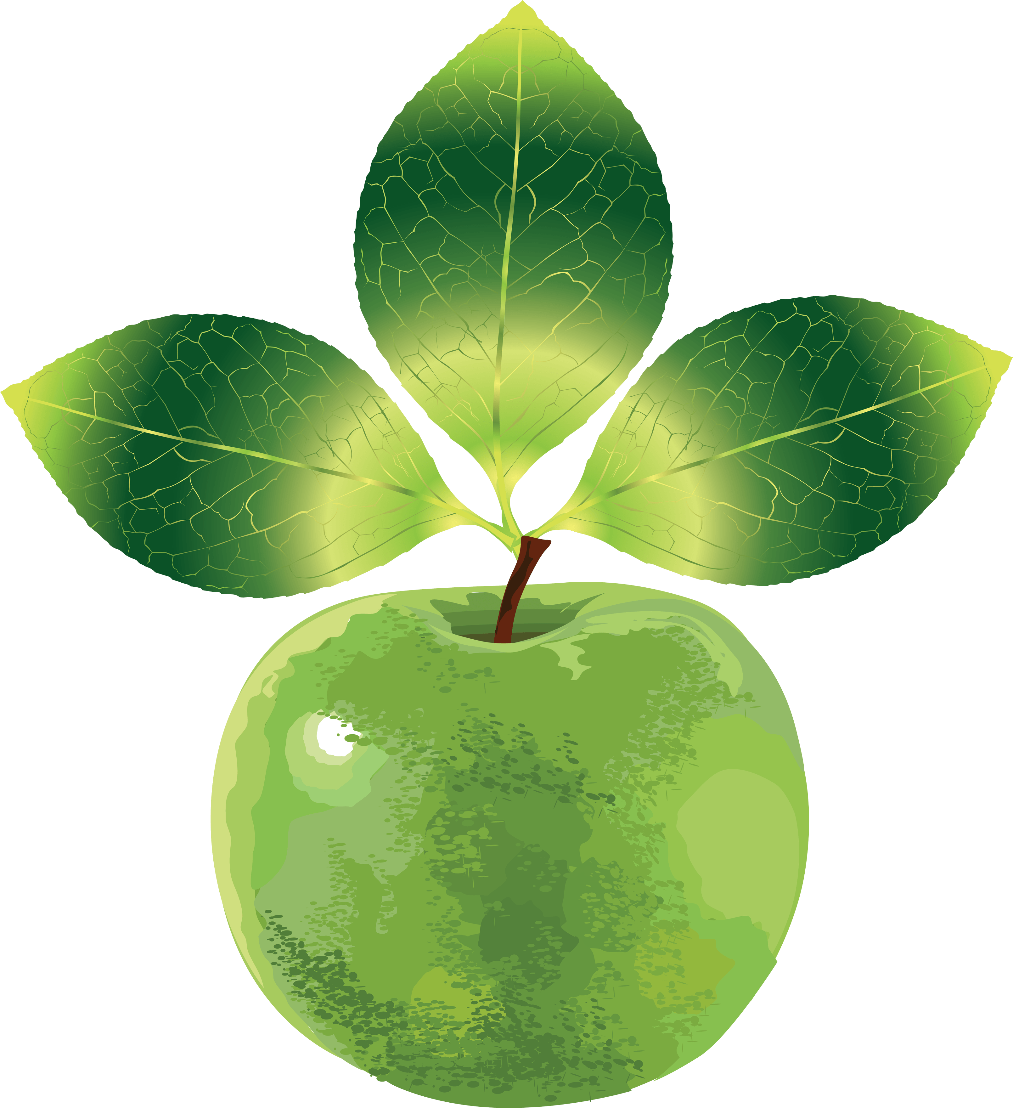 Png Elma Resimleri, Apple Png Photos, Png Yeşil Elma - Vector - Free Transparent PNG Clipart Images Download. - Apple Transparent PNG Free Download