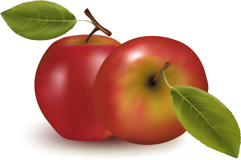 Orange Apple Apricot Cherry Plum Png Images - Clipart Transparent Background Apple - Free Transparent PNG Clipart Images Download. - Apple PNG Orange Apple Apricot Cherry Plum Png Images - Clipart Transparent Background Apple - Free Transparent PNG Clipart Images Download. - Apple Transparent PNG Free Download