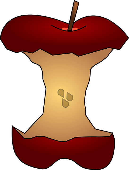 Apple Cartoon Cliparts Shop Of Library Buy - Apple Core Clipart Transparent PNG - 547x720 - Free Download on - Apple Transparent PNG Free Download