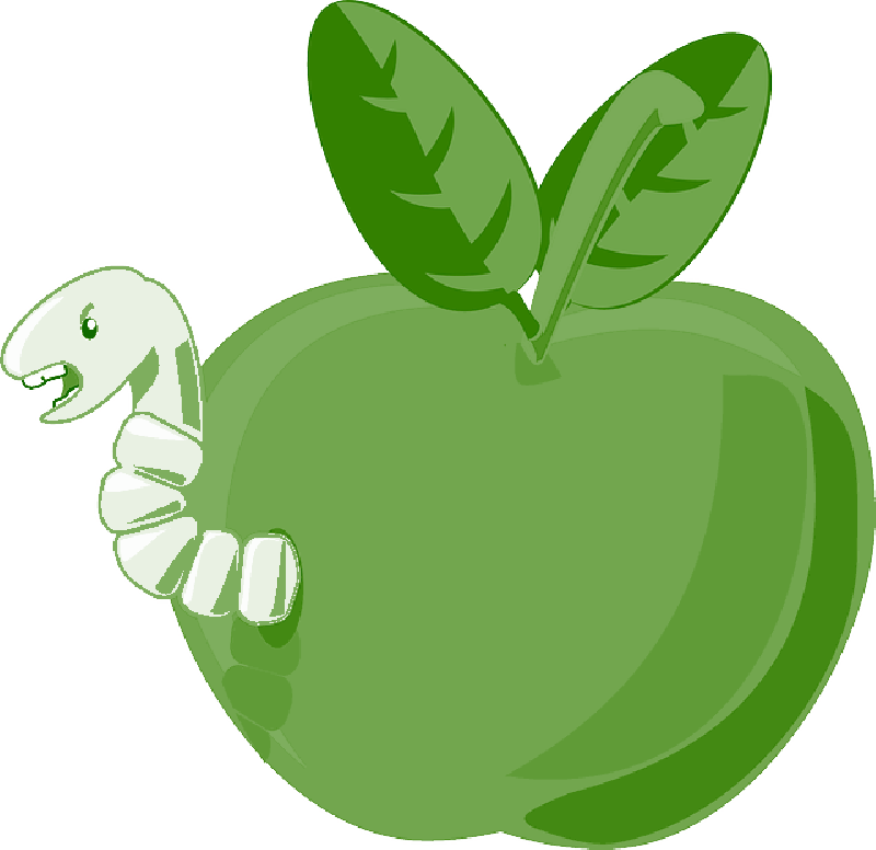 Red, Green, Apple, Food, Fruit, Small, Apples, Bitten - Transparent Background Of Cartoon Apple - Free Transparent PNG Clipart Images Download. - Apple Transparent PNG Free Download
