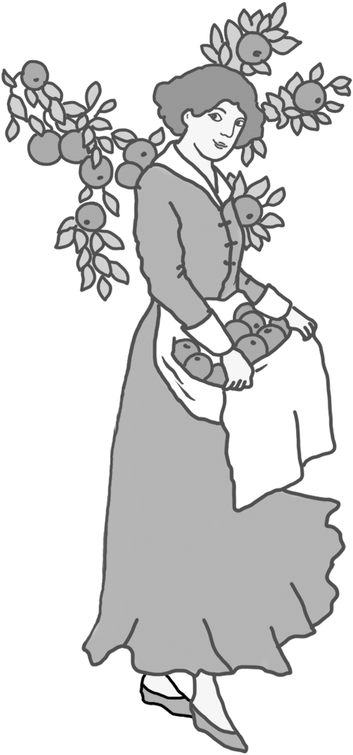 Thanksgiving Drawing Woman With Apples - Thanksgiving Clipart Black And White Transparent PNG - 641x1133 - Free Download on - Apple Transparent PNG Free Download