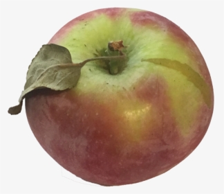 Dandee Red, HD Png Download - Apple Transparent PNG Free Download