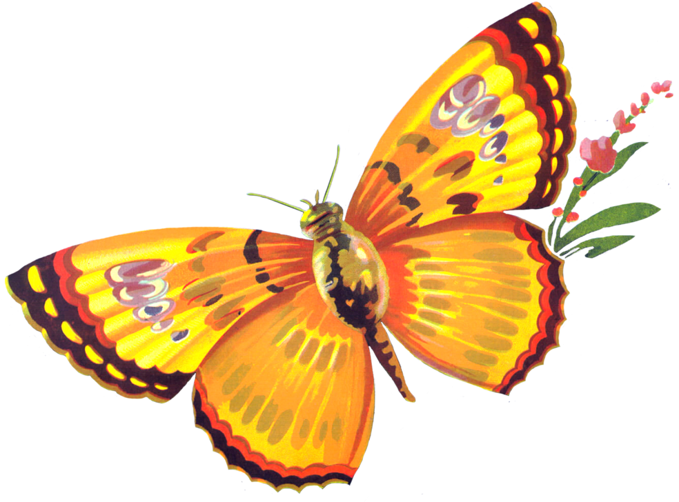 Butterfly Freebie By Chocolate-rabbit On Deviantart - Mariposa Apple Label - San Francisco, Ca - Free Transparent PNG Clipart Images Download. - Apple Transparent PNG Free Download