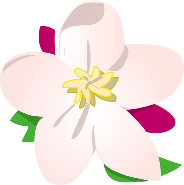 Free Vector Apple Blossom Clip Art - State Flower Of Michigan - Free Transparent PNG Clipart Images Download. - Apple Transparent PNG Free Download