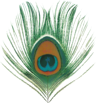 Download Peacock Feather Free Png Transparent Image - Apple Venus, Vol. 1 - Free Transparent PNG Clipart Images Download. - Apple Transparent PNG Free Download