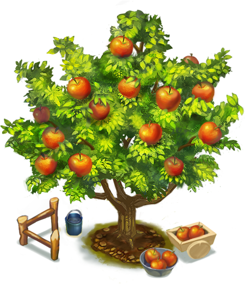 Picture Of An Apple Tree - Proces Fotosinteze - Free Transparent PNG Clipart Images Download. - Apple Transparent PNG Free Download