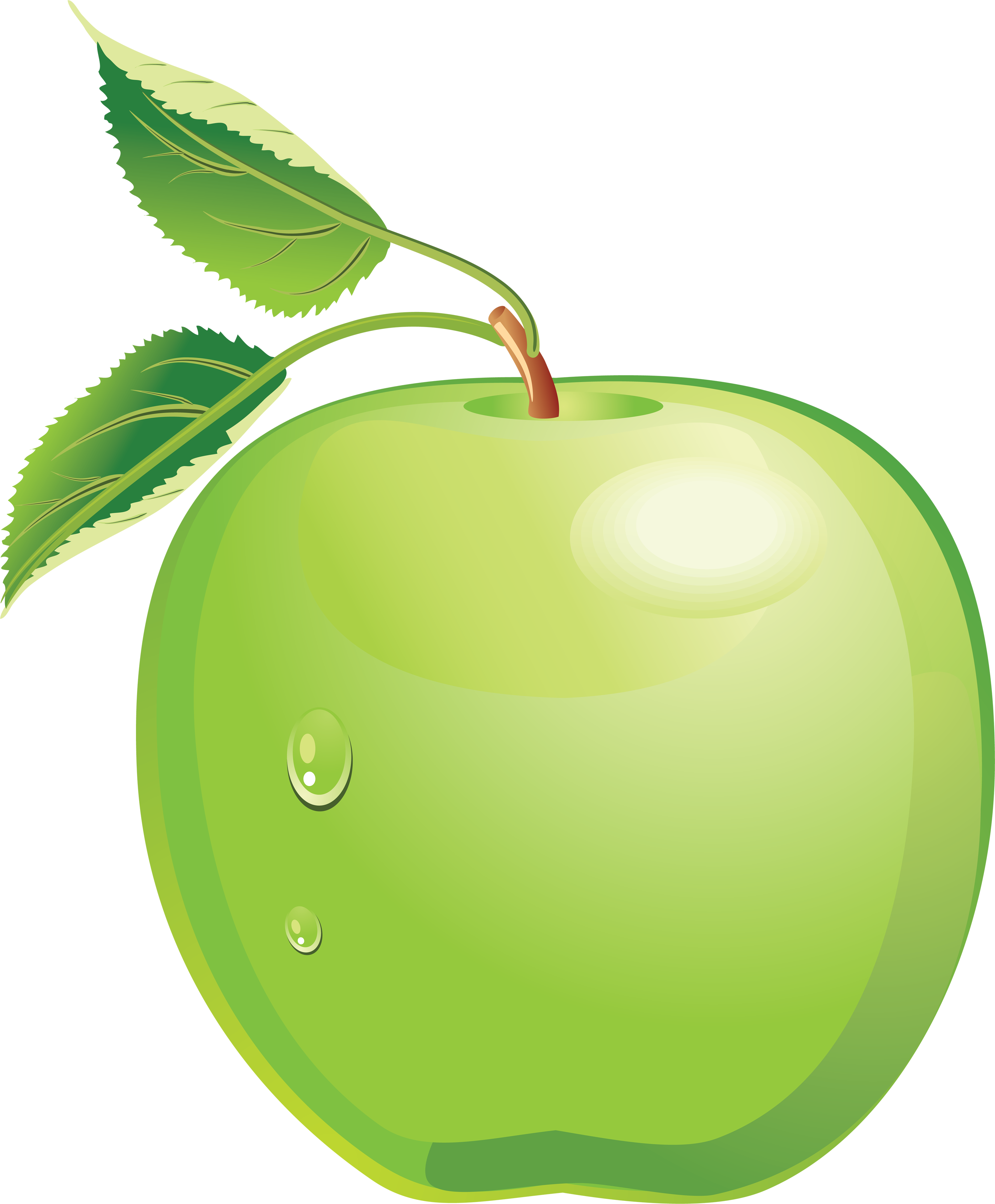 Green Apple Clip Art - Green Apple Clipart Png - Free Transparent PNG Clipart Images Download. - Apple Transparent PNG Free Download