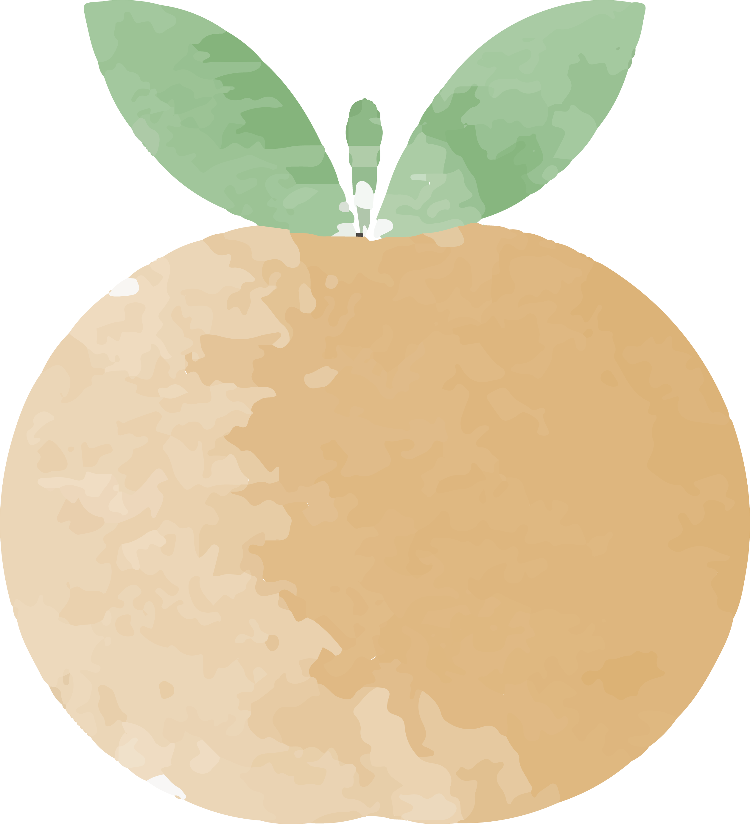 Painting Grapefruit Transprent Png - Watercolor Painting Transparent PNG - 2518x2764 - Free Download on - Apple Transparent PNG Free Download