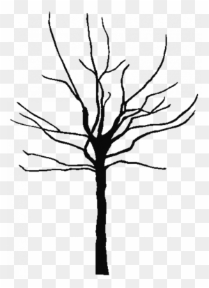 Tree Black And White Outline Clip Art On Apple Images - Bare Tree Silhouette Png - Free Transparent PNG Clipart Images Download. - Apple Transparent PNG Free Download