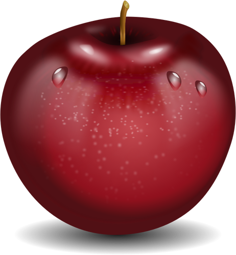 Vector Drawing Of Photorealistic Red Wet Apple - Acid Alkaline Diet Journal - Free Transparent PNG Clipart Images Download. - Apple Transparent PNG Free Download