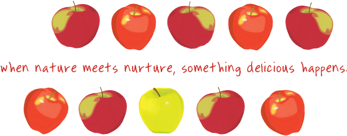 Our Founder, Greg, Watched How Farmers Took Care Of - Mcintosh - Free Transparent PNG Clipart Images Download. - Apple Transparent PNG Free Download