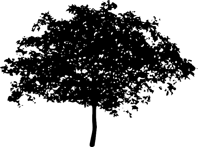 Silhouette Tree, Bush, Nature, Leaves, Trunk, Silhouette - Voice Of The Children In The Apple Tree - Free Transparent PNG Clipart Images Download. - Apple Transparent PNG Free Download