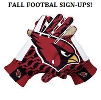 Baseball - Nfl Arizona Cardinals Metal Ice Bucket - Free Transparent PNG Clipart Images Download. - Basketball Transparent PNG Free Download