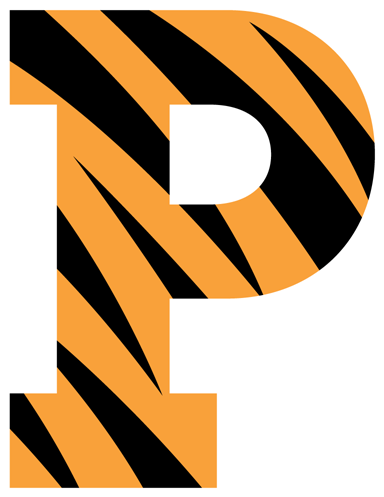 Princeton Tigers Football - Princeton Tigers Men's Basketball - Free Transparent PNG Clipart Images Download. - Basketball Transparent PNG Free Download