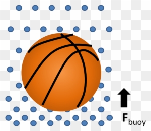 Buoy Ball - Buoyant Force Basketball - Free Transparent PNG Clipart Images Download. - Basketball Transparent PNG Free Download