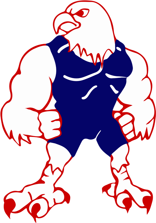 2015 Fitch Basketball Day Camp - Austintown-fitch High School - Free Transparent PNG Clipart Images Download. - Basketball Transparent PNG Free Download