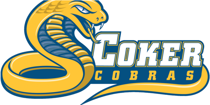 Coker Names Hardwicke As Assistant Men's Basketball - Coker College - Free Transparent PNG Clipart Images Download. - Basketball Transparent PNG Free Download