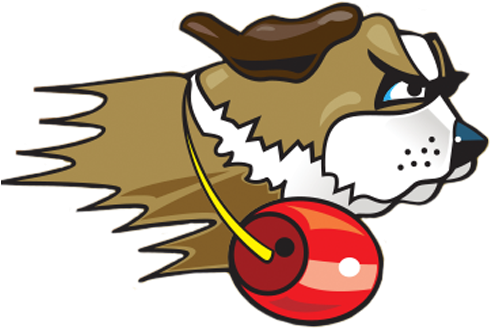 Veteran Head Coach Steve Brooks Takes Over Women's - University Of St. Francis - Free Transparent PNG Clipart Images Download. - Basketball Transparent PNG Free Download