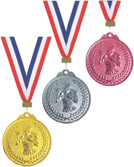 Boxer Medal No - Basketball Gold Medal Png Transparent PNG - 480x480 - Free Download on - Basketball Transparent PNG Free Download