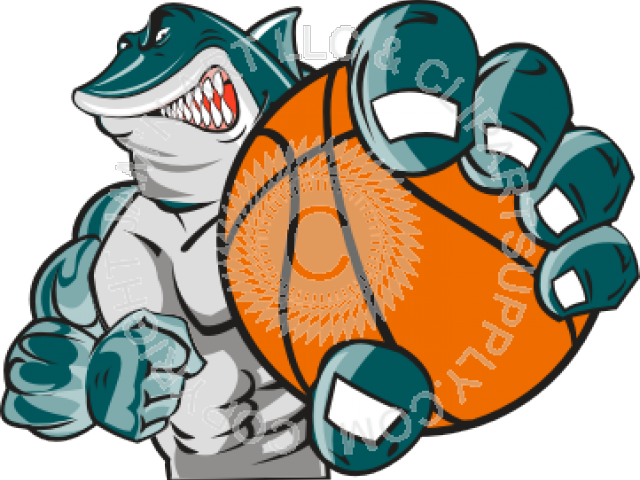 Shark Clipart Basketball - Shark With A Basketball - Free Transparent PNG Clipart Images Download. - Basketball Transparent PNG Free Download