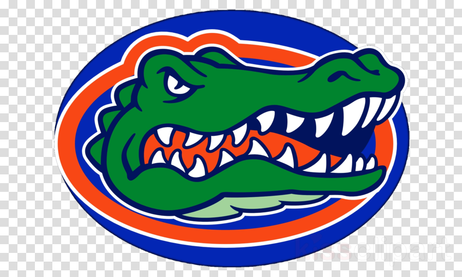 Florida Gators Png Clipart University Of Florida Florida - Florida Gators Png Clipart University Of Florida Florida - Free Transparent PNG Clipart Images Download. - Basketball Transparent PNG Free Download