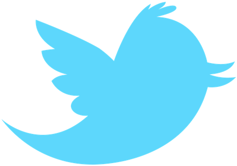 Girls Basketball On Twitter - Girls Basketball On Twitter - Free Transparent PNG Clipart Images Download. - Basketball Transparent PNG Free Download