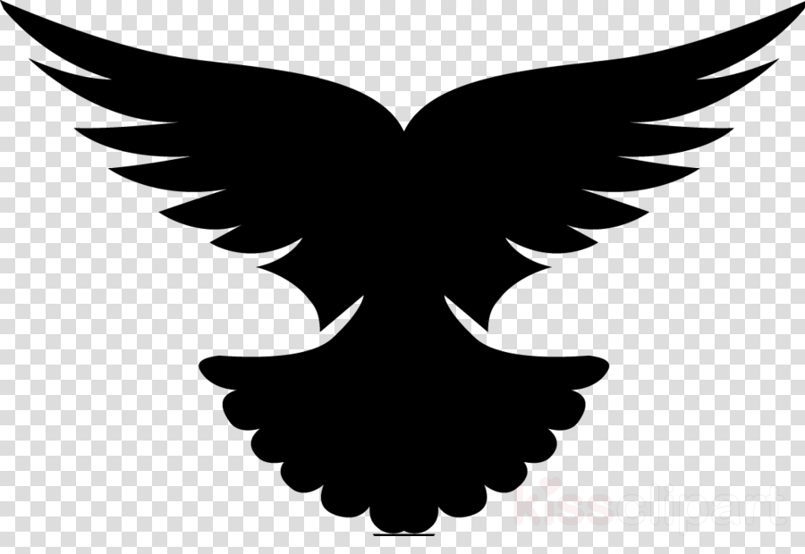 Pigeon Logo Png Clipart Pigeons And Doves Bird Homing - Basketball Stock No Background - Free Transparent PNG Clipart Images Download. - Basketball Transparent PNG Free Download