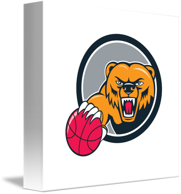 Grizzly Bear Angry Head Basketball Cartoon By Aloysius - Bear Head Clipart - Free Transparent PNG Clipart Images Download. - Basketball Transparent PNG Free Download