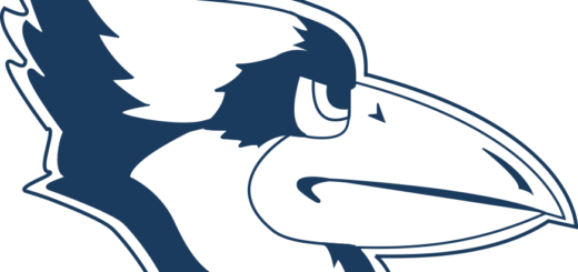 Women's Basketball - Westminster College Fulton Mo Mascot - Free Transparent PNG Clipart Images Download. - Basketball Transparent PNG Free Download