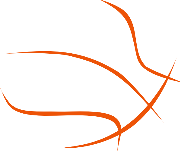 Basketball Outline Clip Art - Outline Of The Basketball - Free Transparent PNG Clipart Images Download. - Basketball PNG Basketball Outline Clip Art - Outline Of The Basketball - Free Transparent PNG Clipart Images Download. - Basketball Transparent PNG Free Download