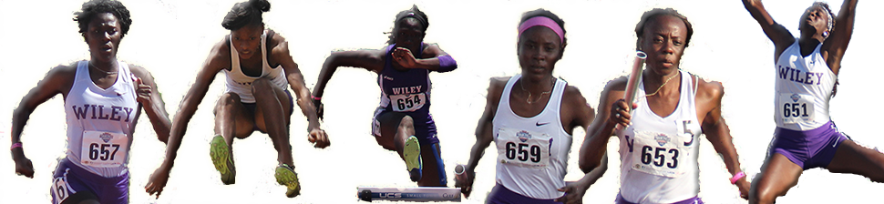 Wildcat Athletics Wildcat Athletics - Wiley College Wildcats Women's Basketball Transparent PNG - 970x224 - Free Download on - Basketball Transparent PNG Free Download