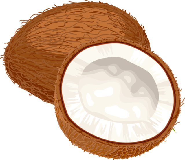Coconut Curry Clipart Rh Worldartsme Com Basketball - Coconut Oil Miracle: 30+ Coconut Oil Recipes Coconut - Free Transparent PNG Clipart Images Download. - Basketball Transparent PNG Free Download