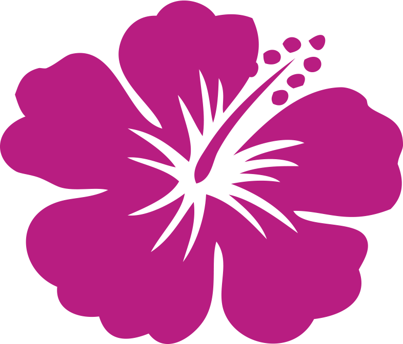 Hawaii Hibicus - Car Stickers Seven Dots Hibiscus Flower Sticker Transparent PNG - 786x672 - Free Download on - Car Transparent PNG Free Download