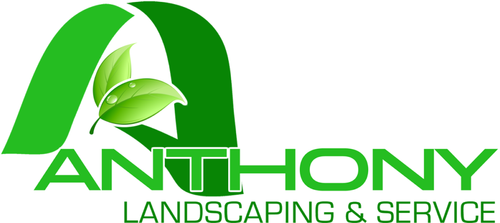 Services Landscaping Services In Plainfield Nj Lawn - Dogs Die In Hot Cars - Free Transparent PNG Clipart Images Download. - Car Transparent PNG Free Download