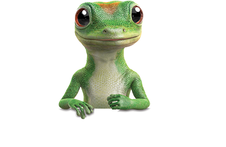 Geico Auto Quote Cars - Geico Gecko Png Transparent PNG - 528x445 - Free Download on - Car Transparent PNG Free Download