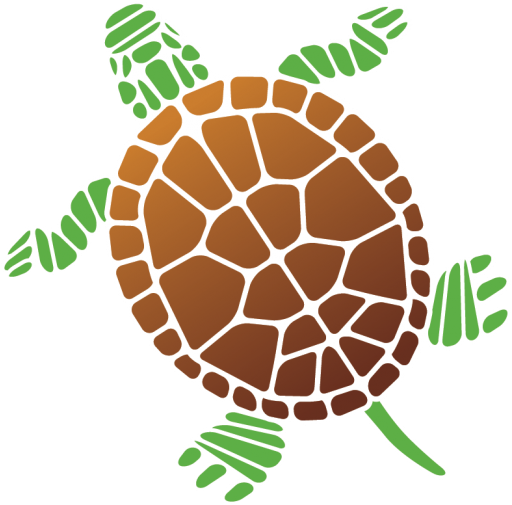Stickers Tortue Marine À Partir De 15€ - Car Stickers Detailed Turtle Sticker - Free Transparent PNG Clipart Images Download. - Car Transparent PNG Free Download