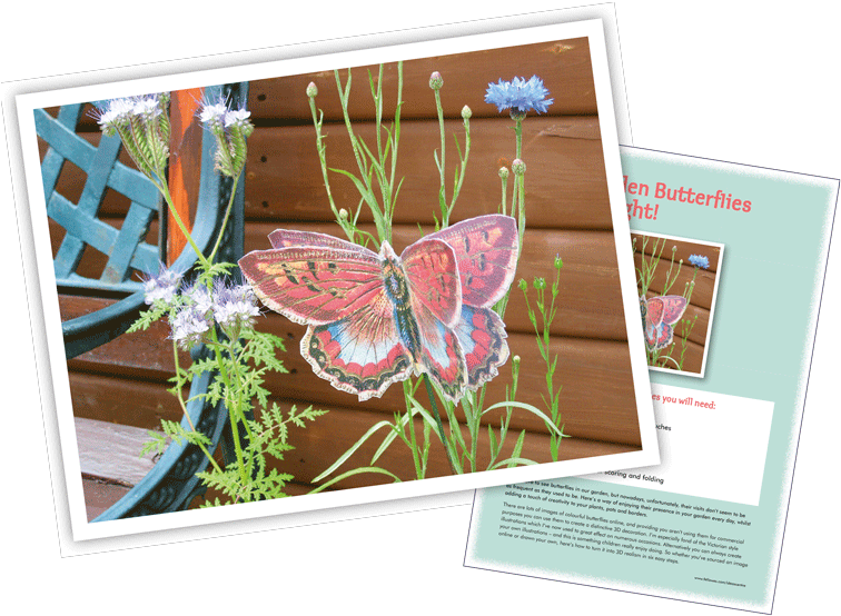 Garden 3d Butterfly Garden 3d Butterfly - Vintage Butterfly Oval Car Magnet Transparent PNG - 760x560 - Free Download on - Car Transparent PNG Free Download