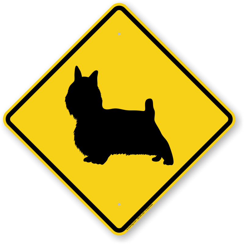 Yorkie Symbol Guard Dog Sign - Road Sign With Car - Free Transparent PNG Clipart Images Download. - Car Transparent PNG Free Download