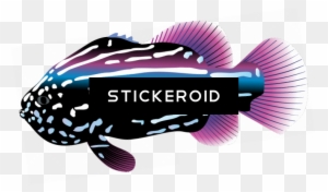 Ocean Fish - Decal Tropical Fish Aquarium Car Window Jet Ski D217 - Free Transparent PNG Clipart Images Download. - Car Transparent PNG Free Download