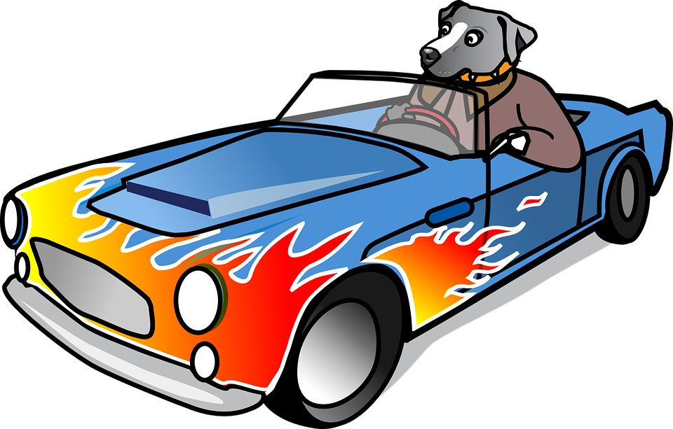 Dog In Sports Car - Cartoon Dog Driving Sports Car Mugs - Free Transparent PNG Clipart Images Download. - Car Transparent PNG Free Download