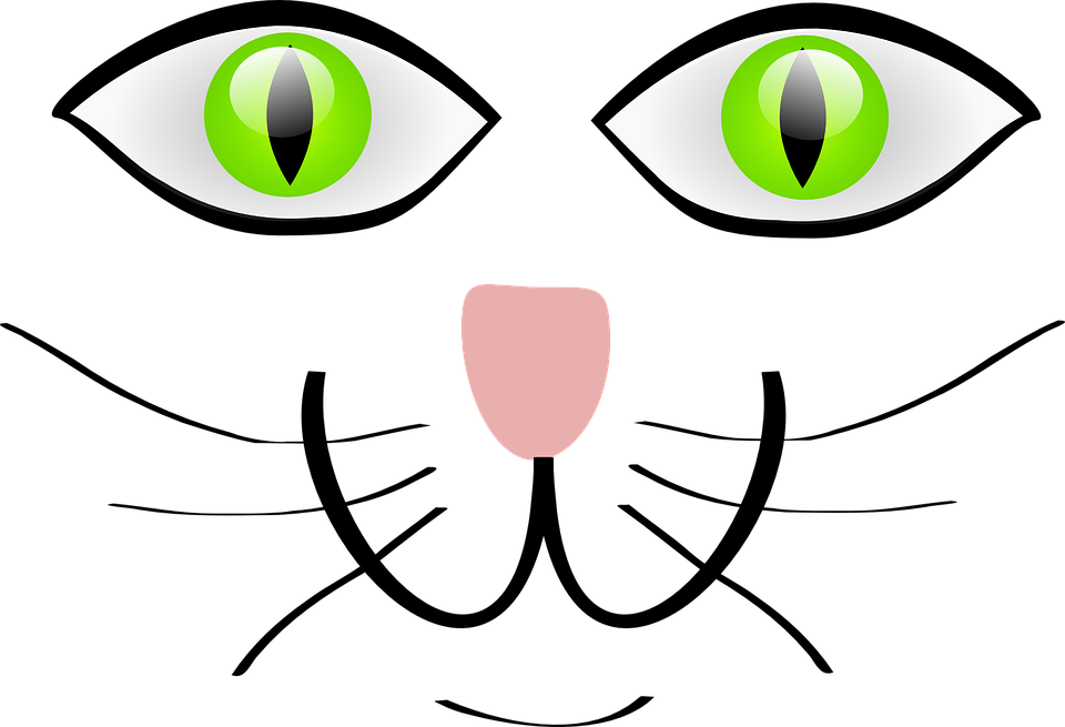 Cat Clipart, Suggestions For Cat Clipart, Download - Cat Eyes Clipart - Free Transparent PNG Clipart Images Download. - Cat Transparent PNG Free Download