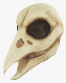 26771 - Raven Skull Mask, HD Png Download - Cat Transparent PNG Free Download
