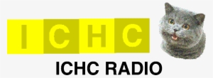 Ichc Radio Logo Old - Happy Cat Plain Meme Transparent PNG - 960x354 - Free Download on - Cat Transparent PNG Free Download