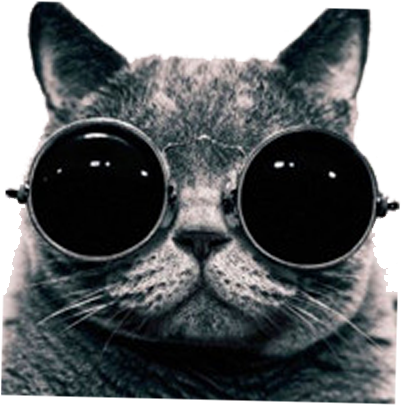British Shorthair Photography Photographer - Cool Cat With Sunglasses Png Transparent PNG - 500x500 - Free Download on - Cat Transparent PNG Free Download