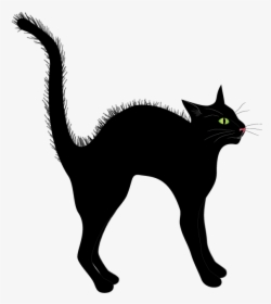 Free Clip-art, Black Cat - Black Cat, HD Png Download - Cat Transparent PNG Free Download