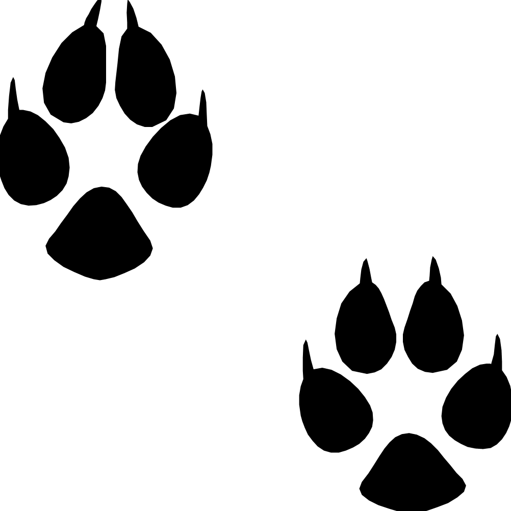 Dog Puppy Cat Footprint - Animal Footprints Png Transparent PNG - 1002x1002 - Free Download on - Cat Transparent PNG Free Download