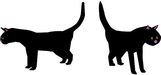 Pet Cat, Black, Bad, Face, Cartoon, Luck, Halloween, - Cat Mom Totes Handbags Purses, Cats, Adult Unisex, - Free Transparent PNG Clipart Images Download. - Cat Transparent PNG Free Download