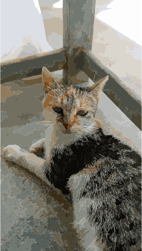 About 686 Free Commercial & Noncommercial Clipart Matching - Cat Transparent PNG - 260x462 - Free Download on - Cat Transparent PNG Free Download
