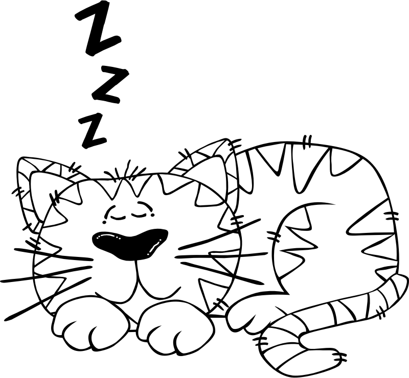 The Christmas Y Atmosphere In The House And All Around, - Cat Sleeping Black And White Clipart - Free Transparent PNG Clipart Images Download. - Cat Transparent PNG Free Download