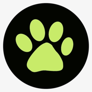 Ring - Cat Noir Ring Logo Transparent PNG - 964x968 - Free Download on - Cat Transparent PNG Free Download